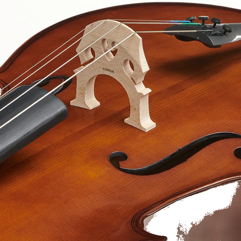 Stentor 1102A2 – Student I Cello Outfit 4/4 — view 4