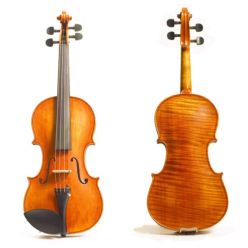 Stentor Amati Model 4/4 Violin