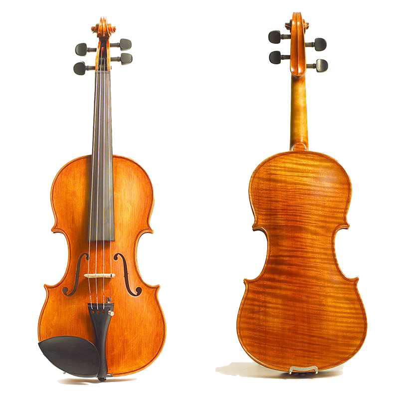 Stentor Amati Model 4/4 Violin