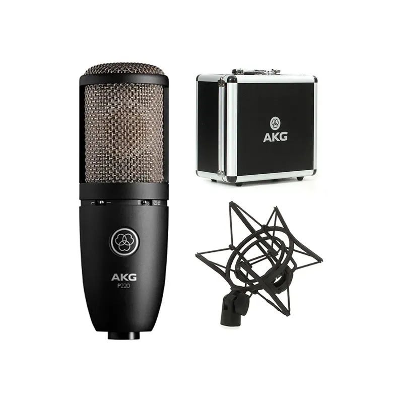 AKG Perception P220 Large Diaphragm Condenser Microphone — view 2