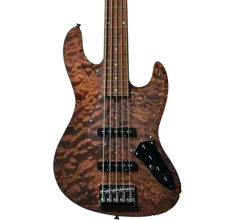 Bacchus WL5 Tune-Up Bass Guitar 5-String – BRS