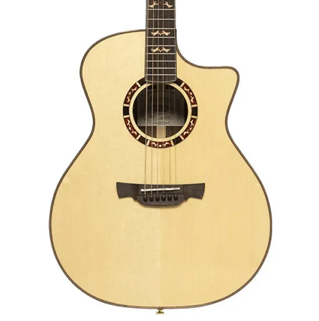 CRAFTER G/AUDIT STG G22CEPRO ACOUSTIC — view 1