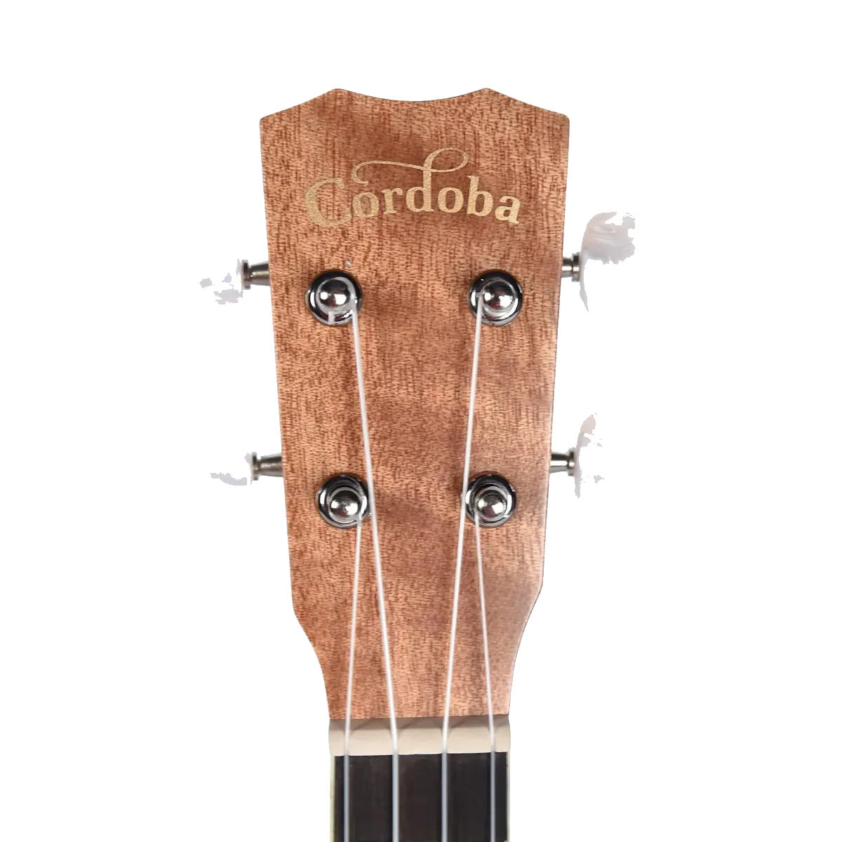 Cordoba 15CM-E Edge Burst Concert Ukulele — view 4