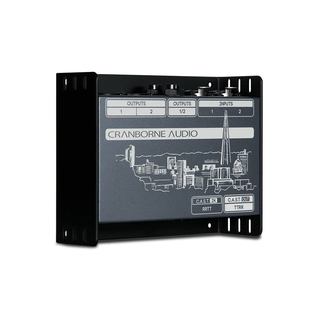 Cranborne Audio N22 Cat 5 Snake and C.A.S.T. Breakout Box — view 2