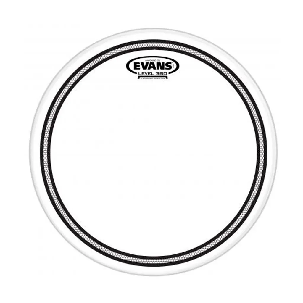 Evans 8" EC2S Frosted Head — view 1