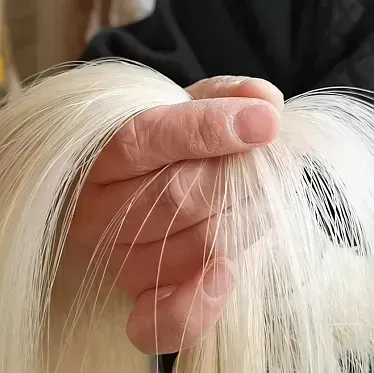 Gewa Bow Mongolian horse hair for Cello — view 2