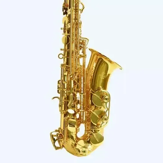 Jinbao Eb Alto Saxophone JBAS200L — view 3