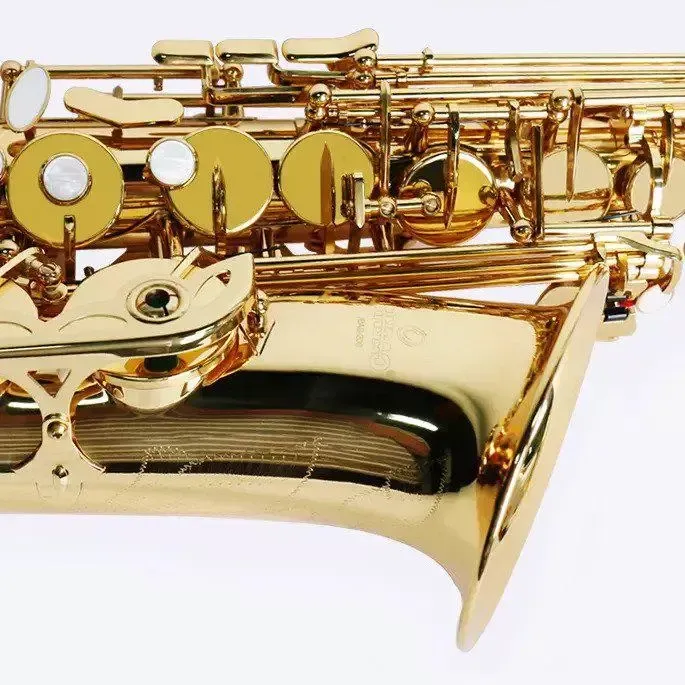 Jinbao Eb Alto Saxophone JBAS200L — view 4