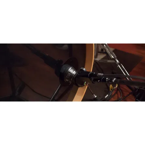 Lewitt DTP 340 REX Dynamic Bass Instrument Microphone — view 7