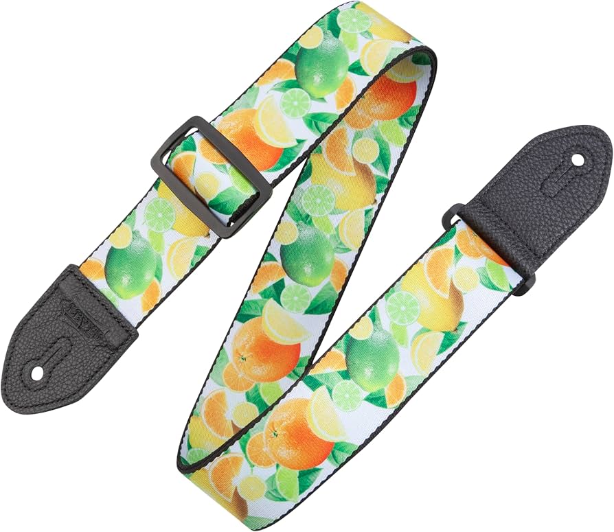 Levy’s MP2FS-006 2 Inch Polyester Guitar Strap