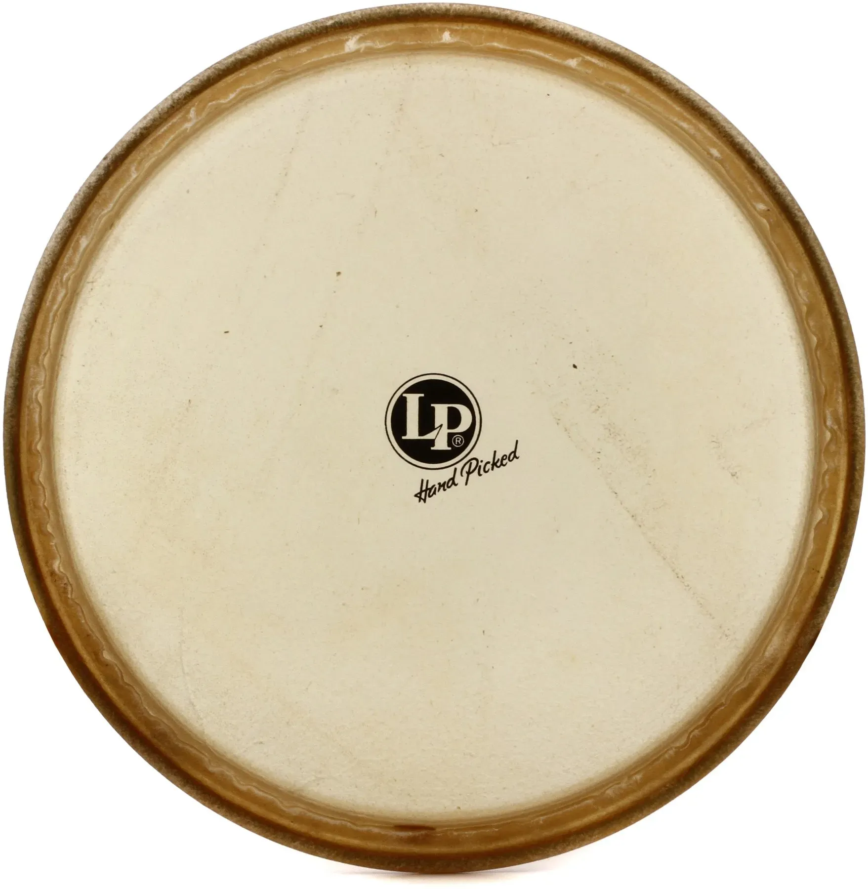 Latin Percussion Rawhide Conga Head - 11-3/4 inch - Conga