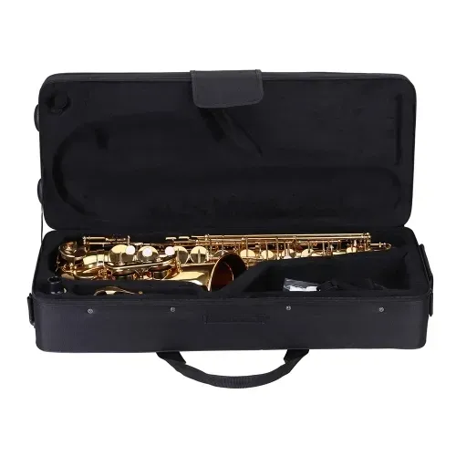 Nuova Eb Alto Saxophone NAS-4 — view 3
