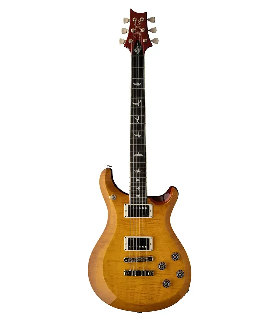 PRS S2 10th Anniversary McCarty 594 Limited Edition Guitar - MS — view 2