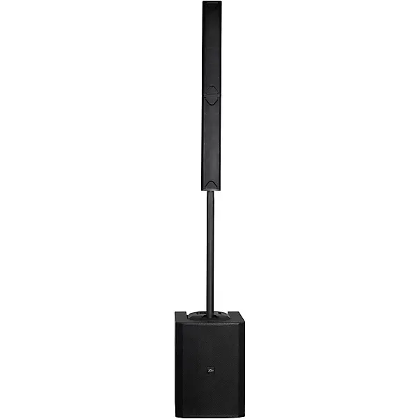 Peavey LN1263 Column Array