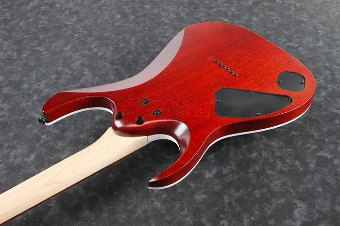 Ibanez RGA42FM Standard Electric Guitar - Dragon Eye Burst Flat — view 5