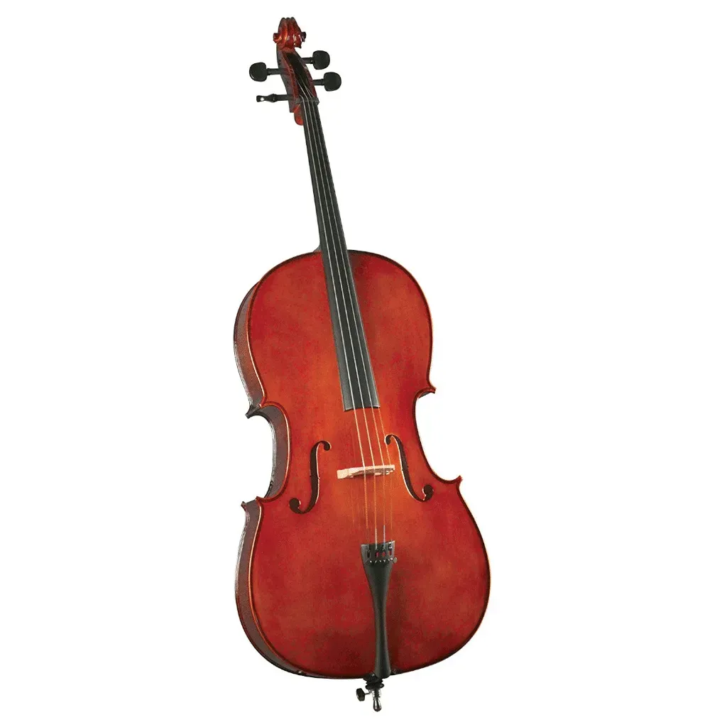Cervini HC100 Cello Outfit 4/4