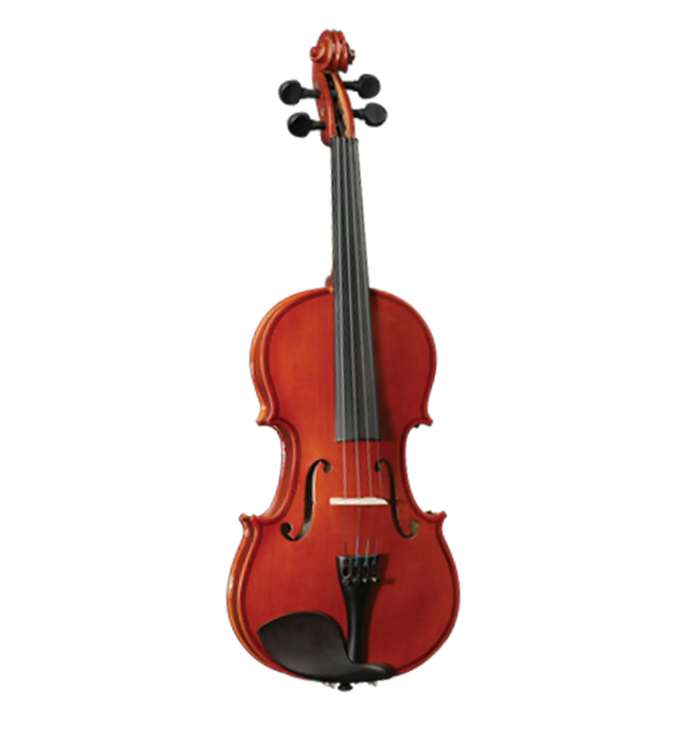 Cervini HV50 Violin Outfit 4/4 — view 2