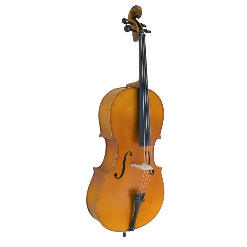 Sandner 200P Cello Outfit 4/4 — view 2