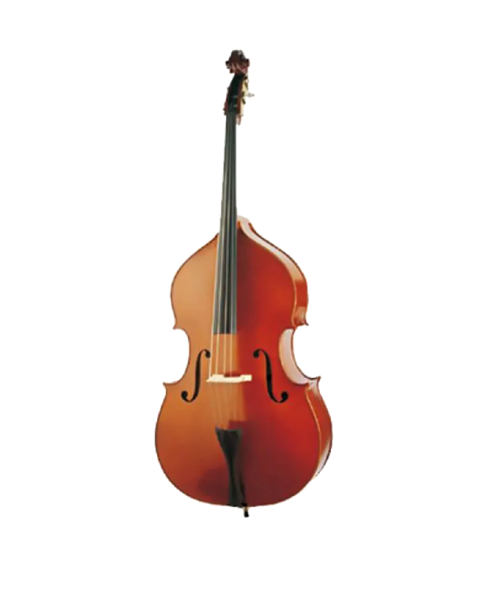 Sandner Double Bass 3/4 Outfit