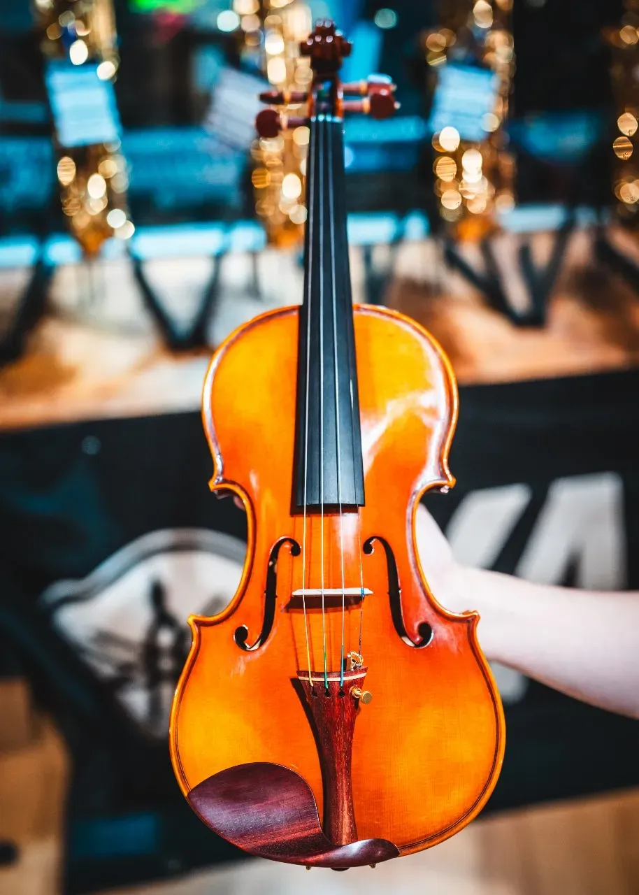 Sandner G2 Master Violin Outfit 4/4
