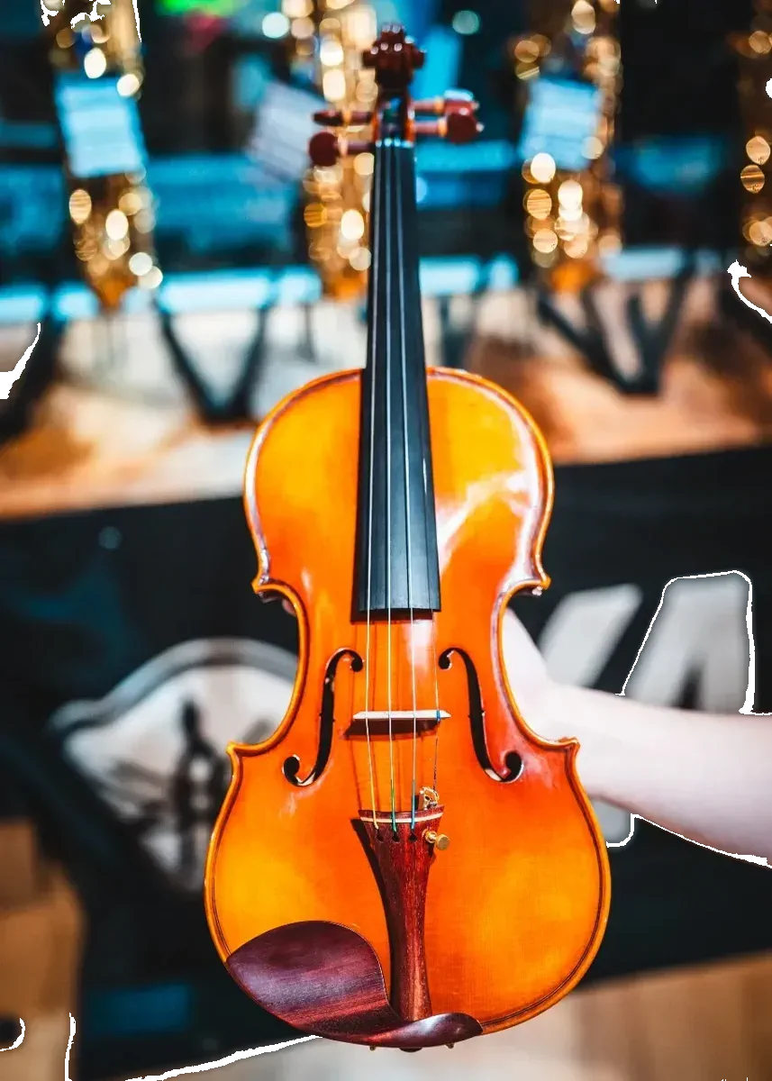 Sandner G2 Master Violin Outfit 4/4