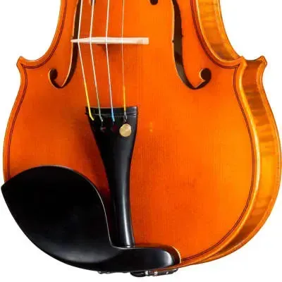 Sandner Dynasty Master MV4 Violin Outfit 4/4 — view 2