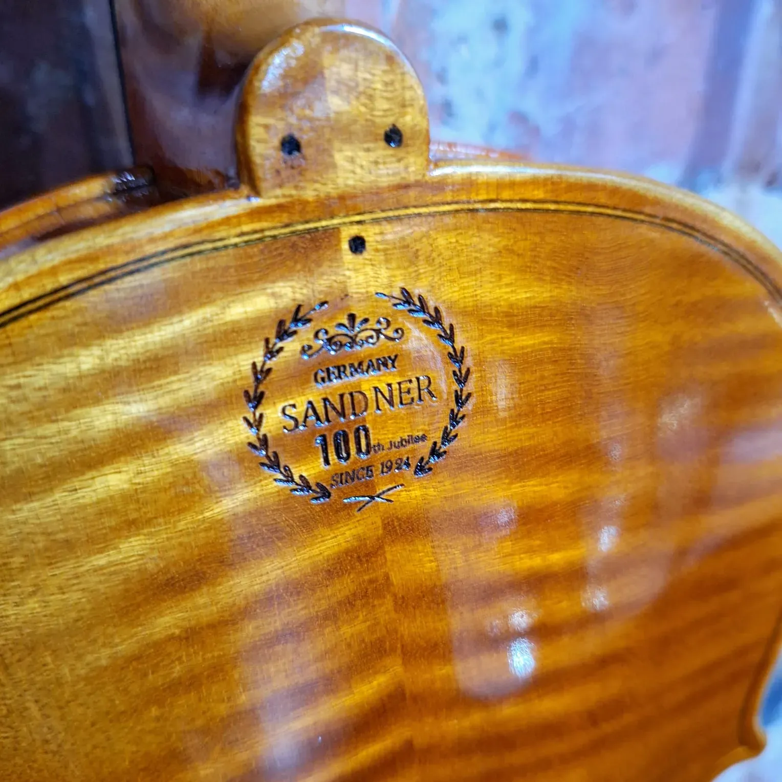 Sandner Dynasty Master MV4 Violin Outfit 4/4 — view 5