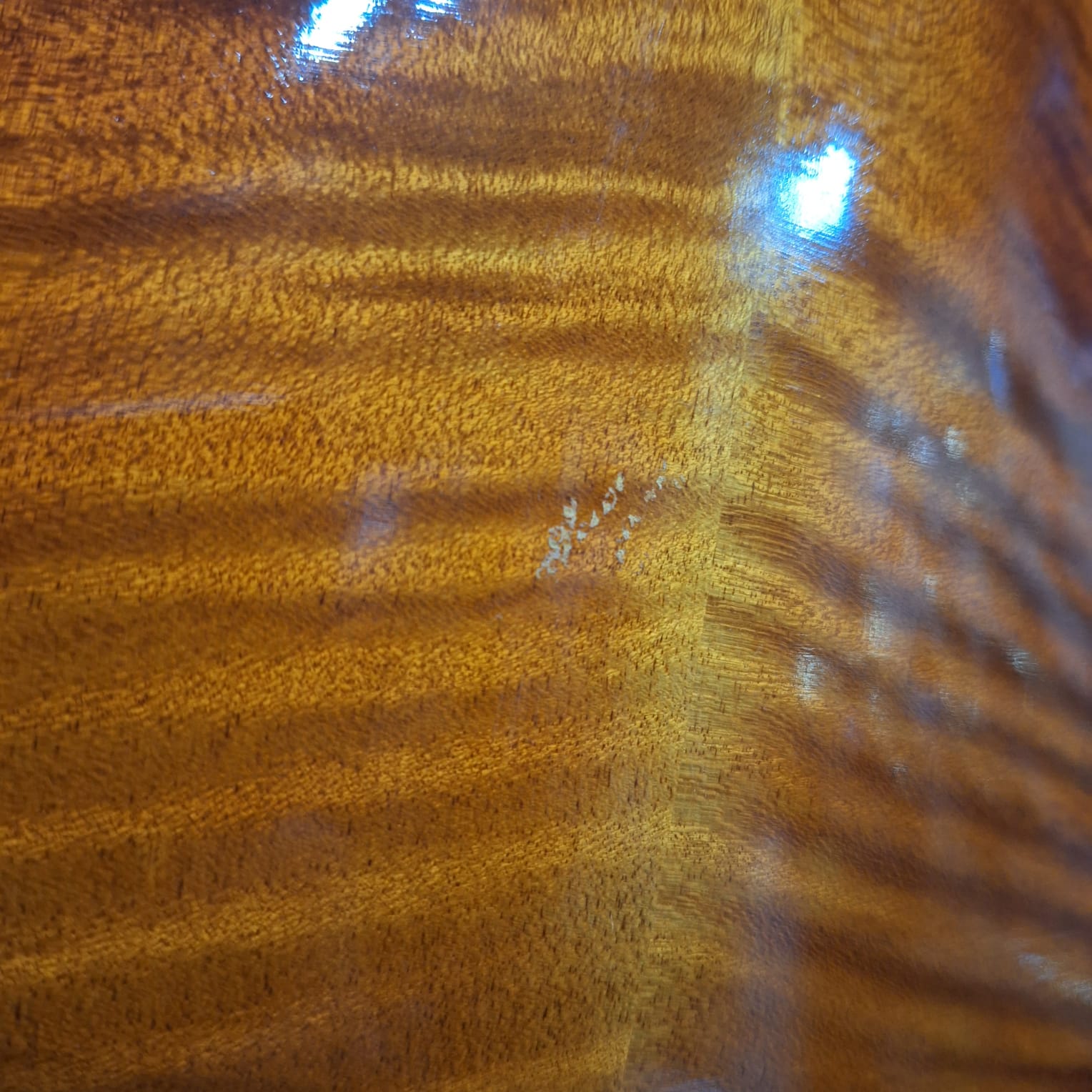 Demo Sandner SNR-SA4 15 inch Viola Outfit — view 4