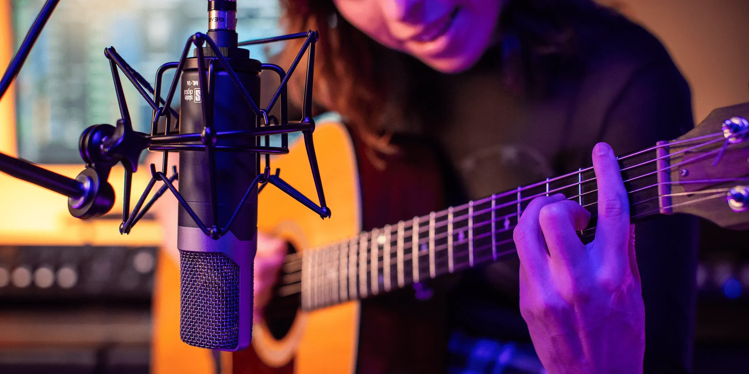 Slate Digital VMS ML-1A Large-Diaphragm Condenser Modeling Microphone — view 8