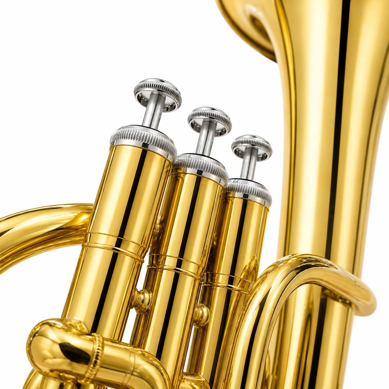 Santa Fe Alto Horn – Lacquer — view 4