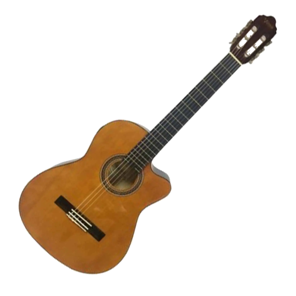Valencia 4/4 classical guitar with pickup