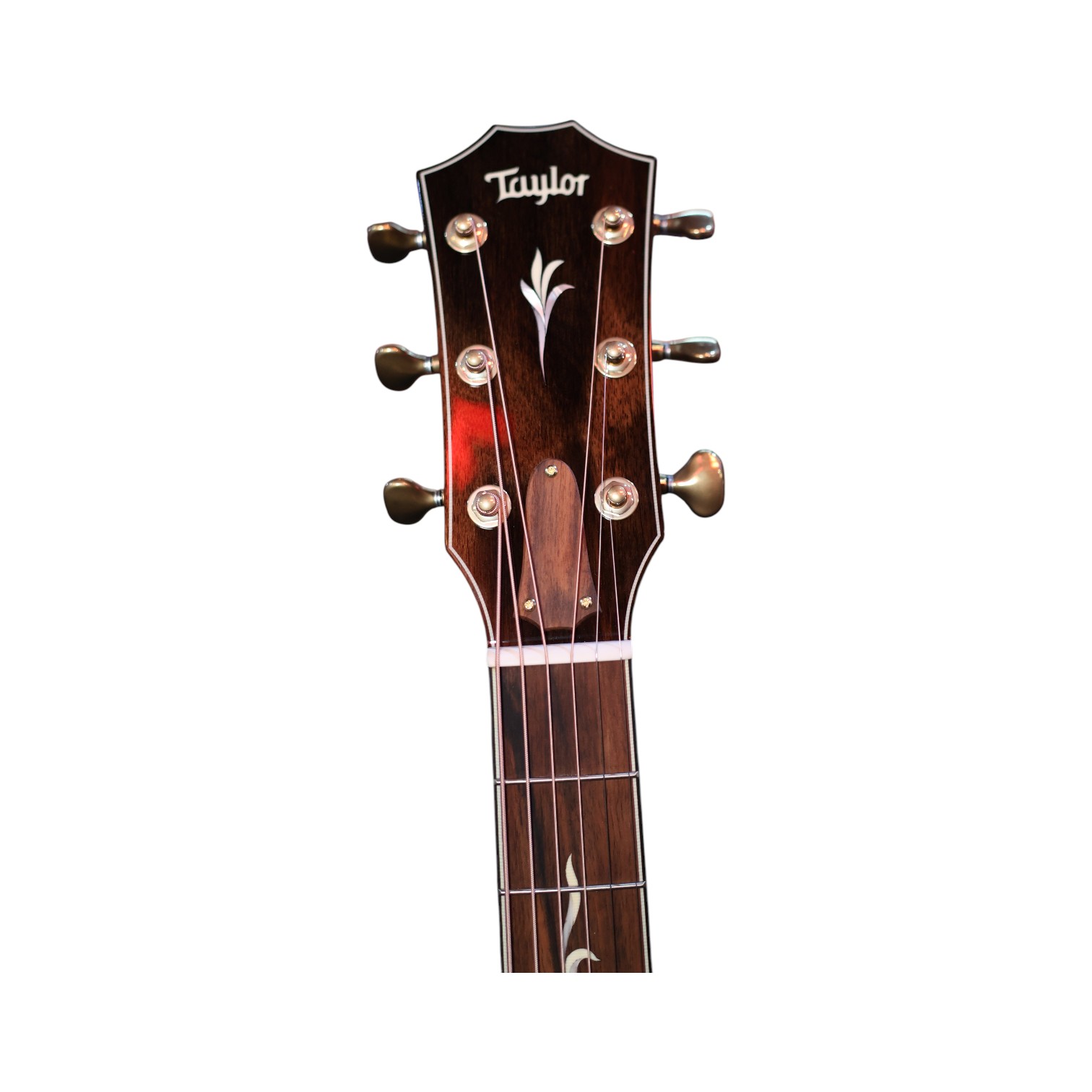 Taylor C14ce Grand Auditorium Acoustic-Electric Guitar — view 6