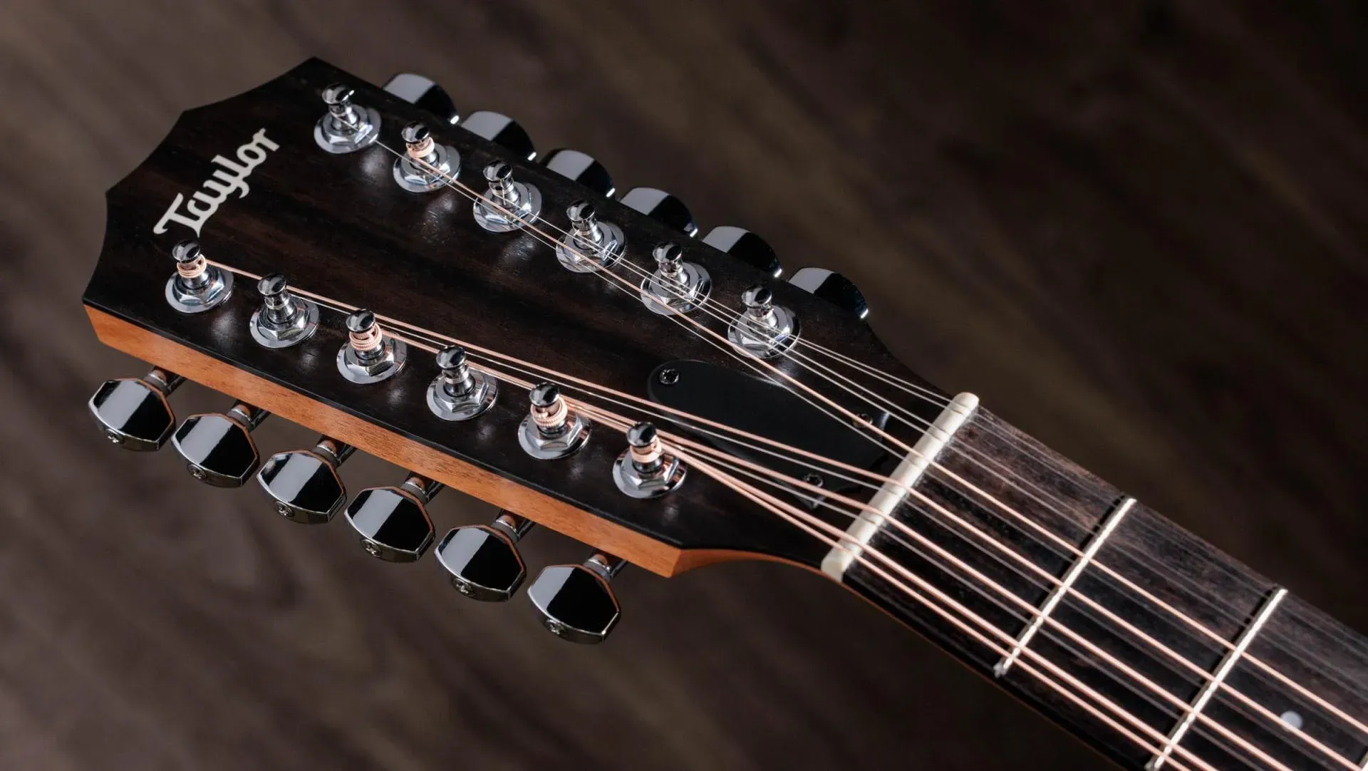 Taylor 150ce Dreadnought 12-string Acoustic-electric Guitar — view 7