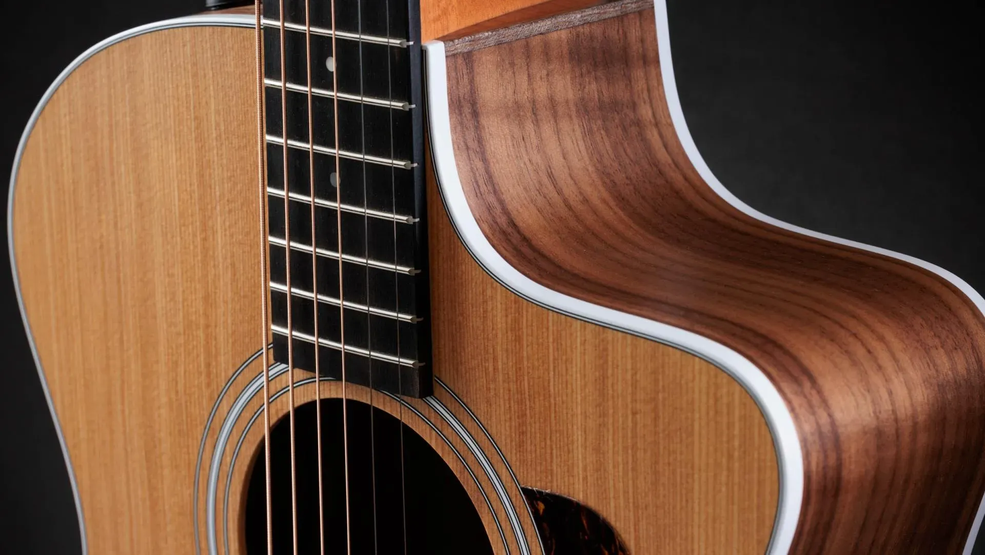 Taylor 214CE Grand Auditorium Acoustic Guitar w/ EQ — view 5
