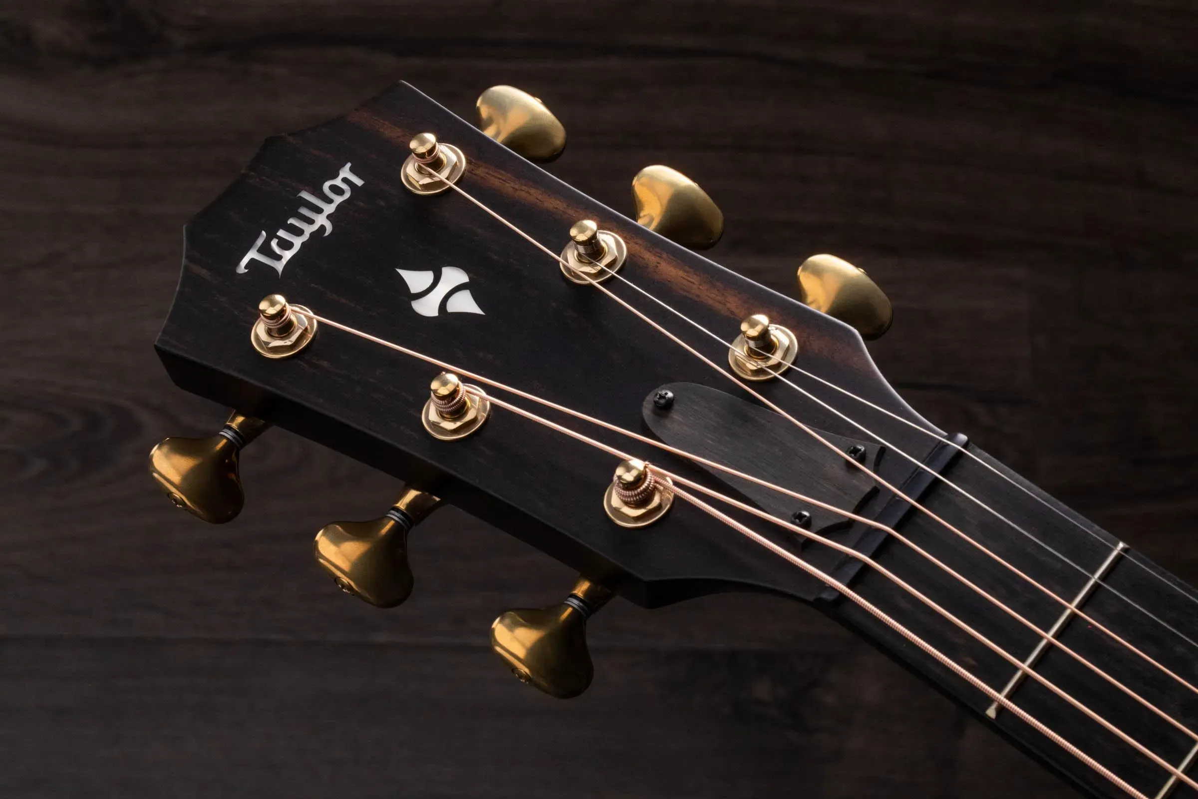 Taylor 324ce Builder's Edition Guitar - Shaded Edgeburst — view 7