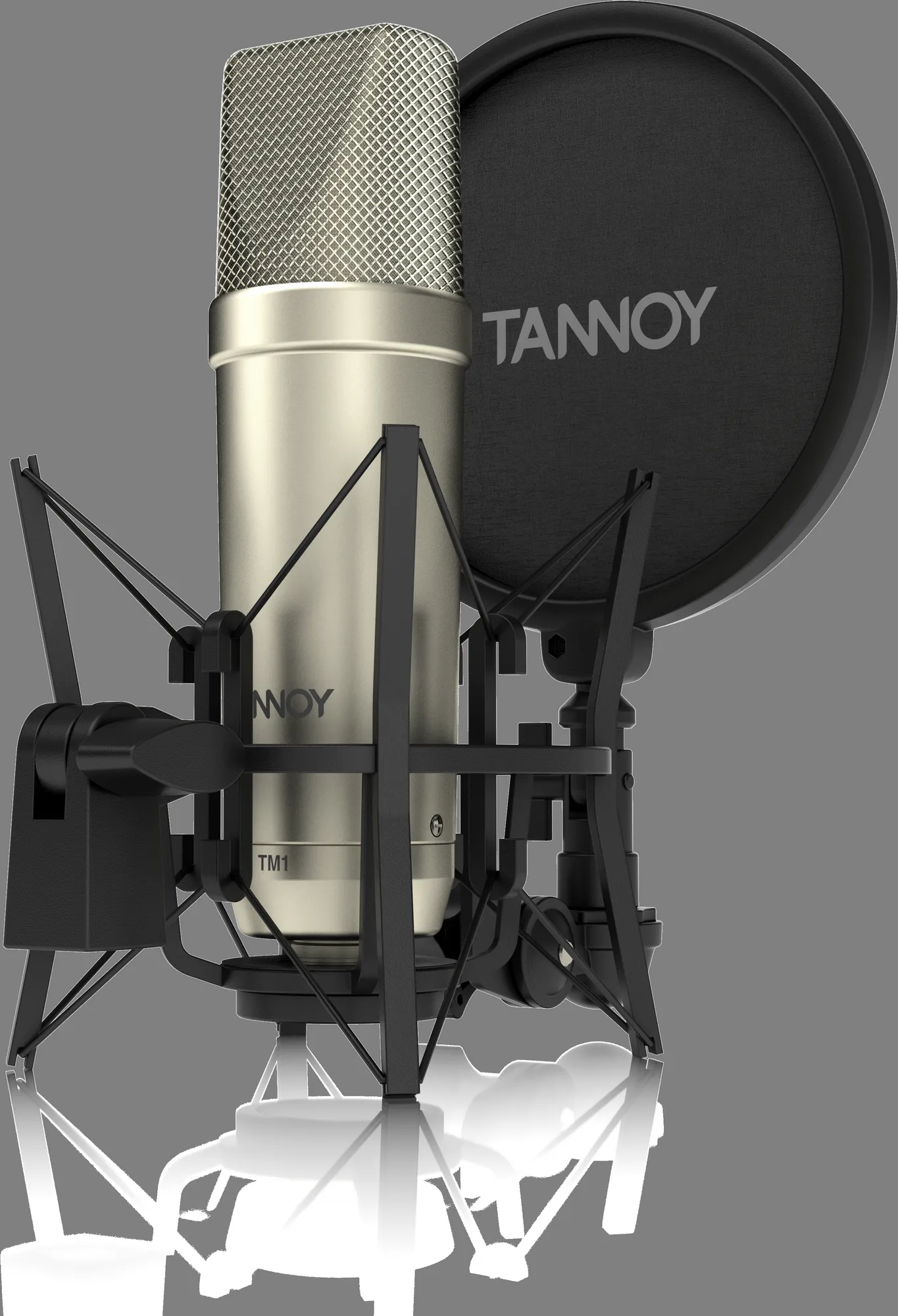 Tannoy TM1 Complete Recording Package with Large Diaphragm Condenser Microphone — view 2