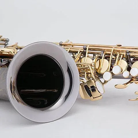 Chateau CAS-21 Eb Alto Saxophone Black with Lacquered keys — view 4