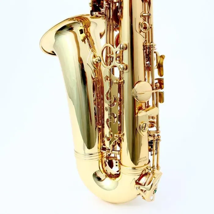 Chateau CAS-21 Eb Alto Saxophone Lacquer Student Bundle — view 5