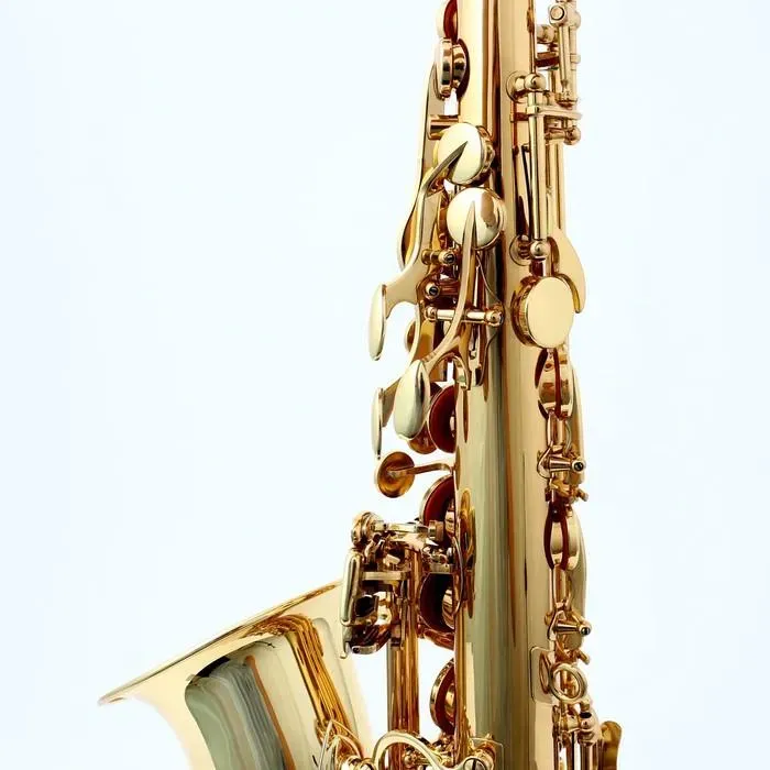 Chateau CAS-21 Eb Alto Saxophone Lacquer Student Bundle — view 6