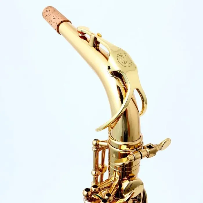 Chateau CAS-21 Eb Alto Saxophone Lacquer Student Bundle — view 7