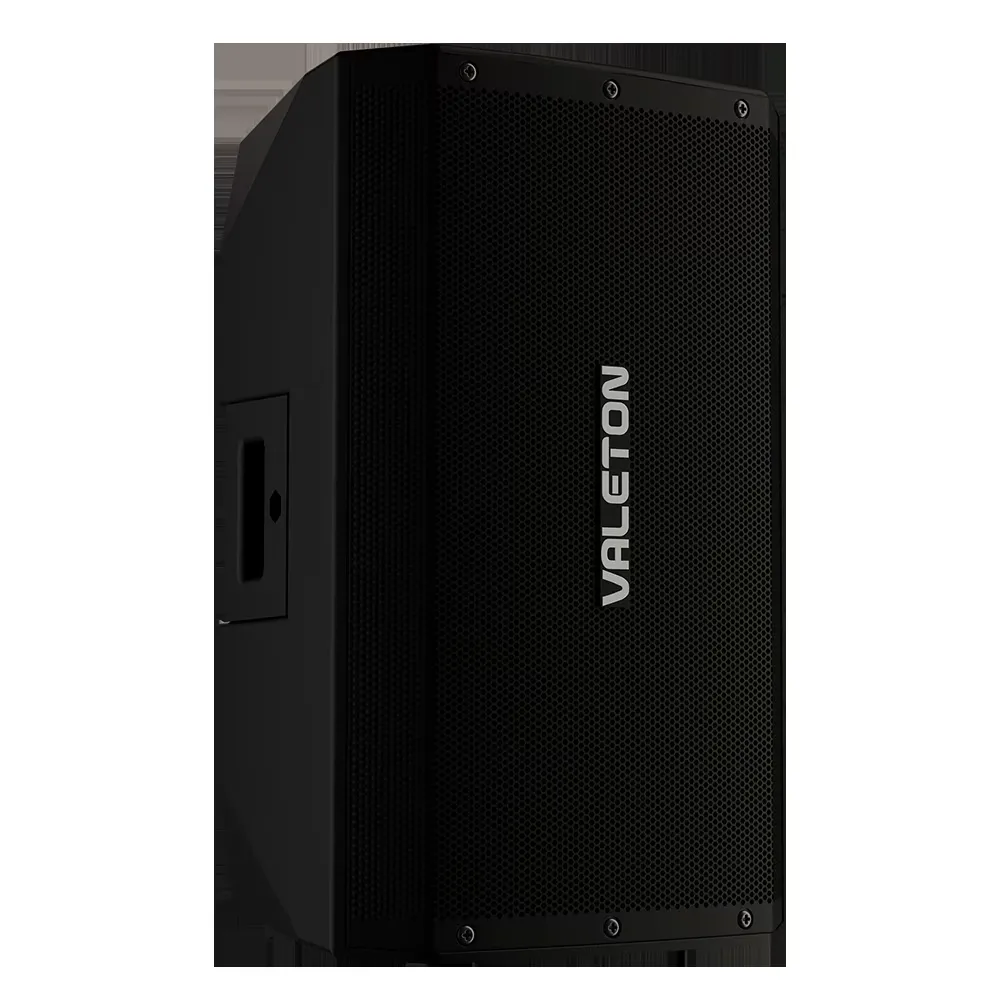 Valeton VFR-110 1300W 1x10 FRFR Speaker Cabinet — view 2