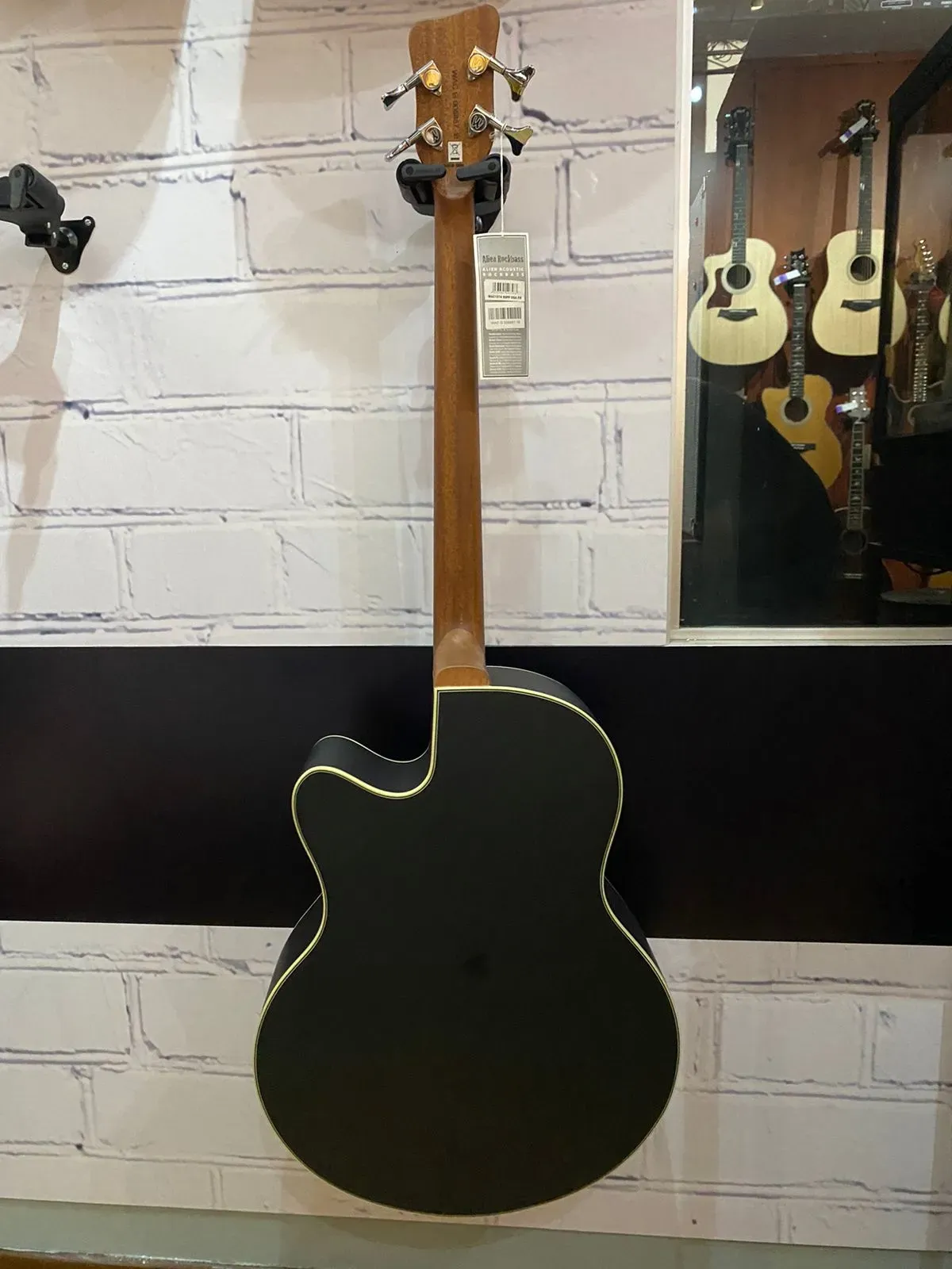 Warwick Rockbass Alien Deluxe 4 String Thinline Acoustic Bass Guitar — view 3
