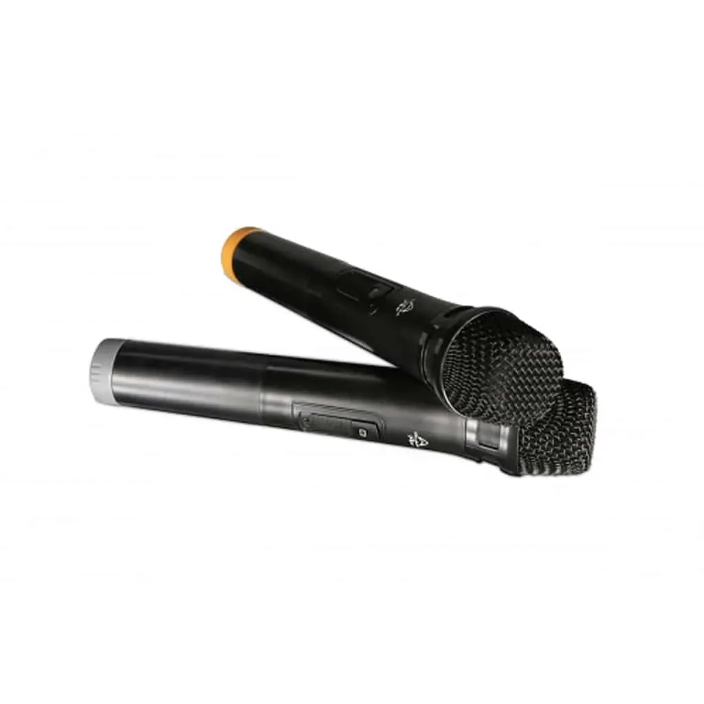 Wharfedale EZ12A – 12 inch Rechargeable Speaker w/ BT and 2 Wireless Microphones — view 4