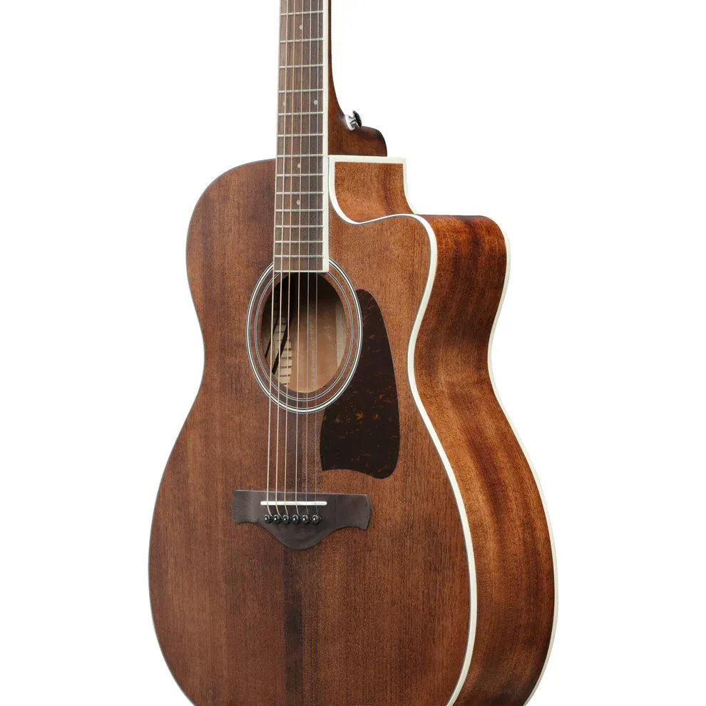 Ibanez Artwood AC340CE Acoustic Guitar - Open Pore Natural — view 4
