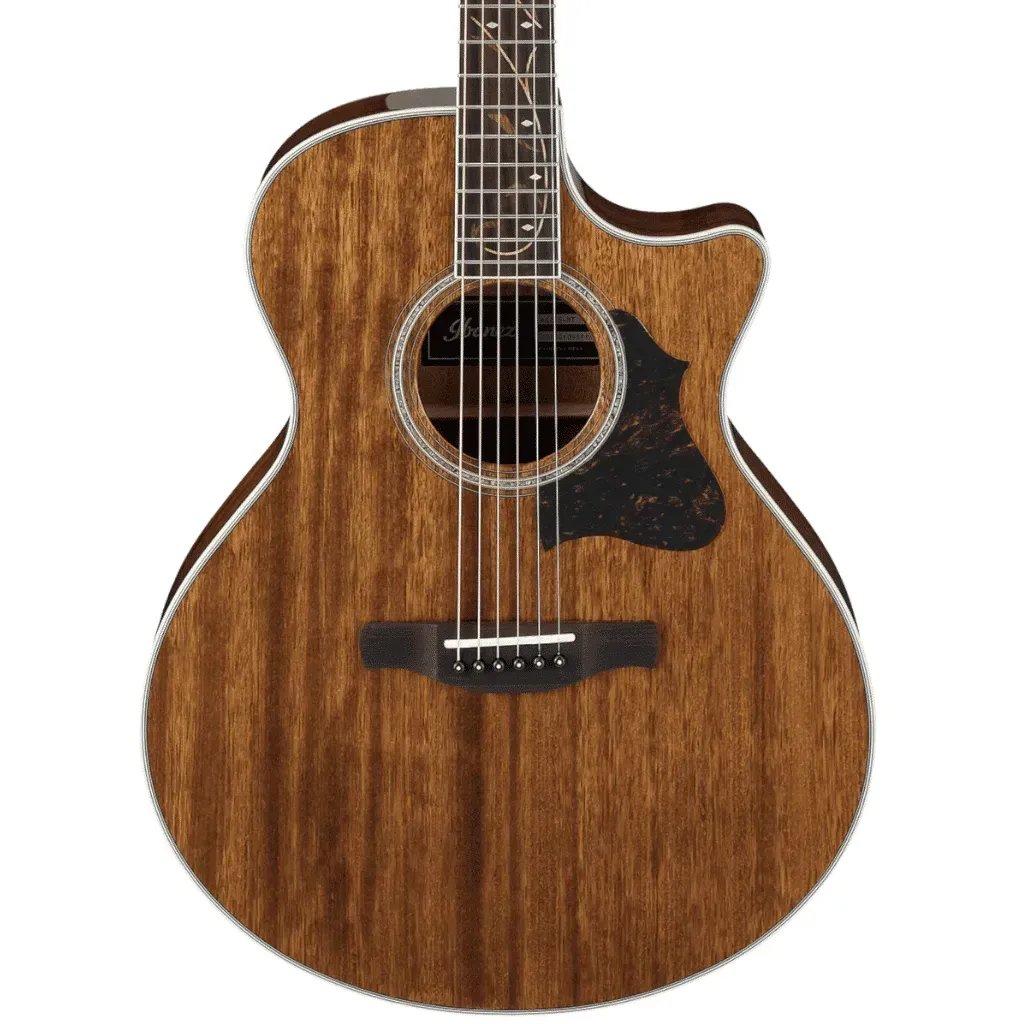 Ibanez AE245NT Acoustic Guitar — view 2