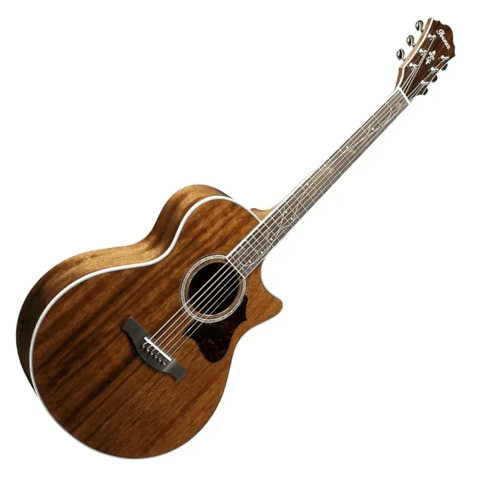 Ibanez AE245NT Acoustic Guitar — view 4