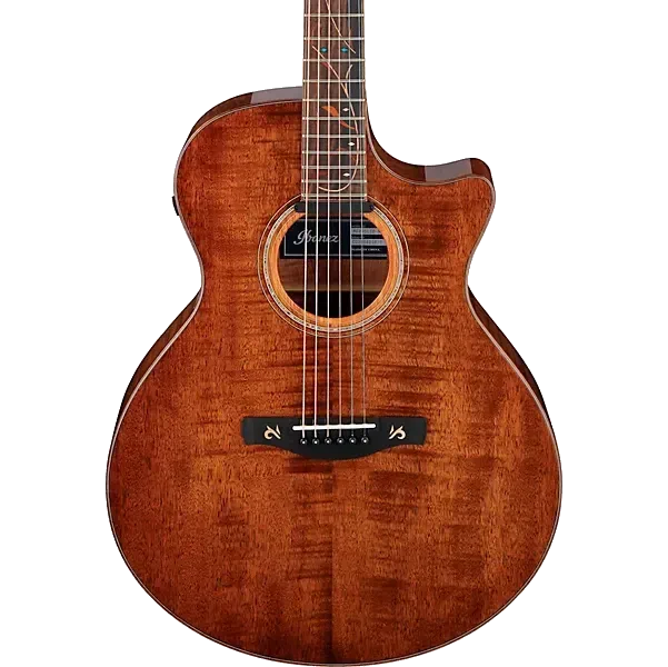 Ibanez AE295LTD Limited-Edition Acoustic-Electric Guitar