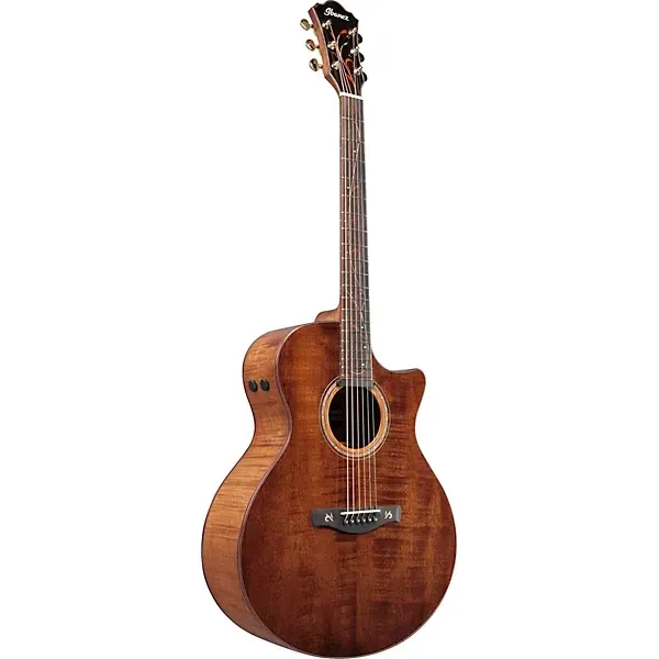 Ibanez AE295LTD Limited-Edition Acoustic-Electric Guitar — view 2