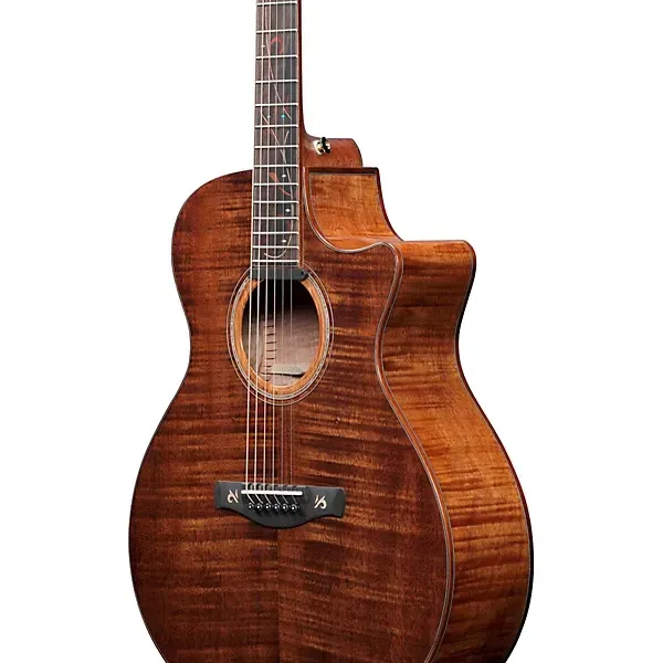 Ibanez AE295LTD Limited-Edition Acoustic-Electric Guitar — view 3