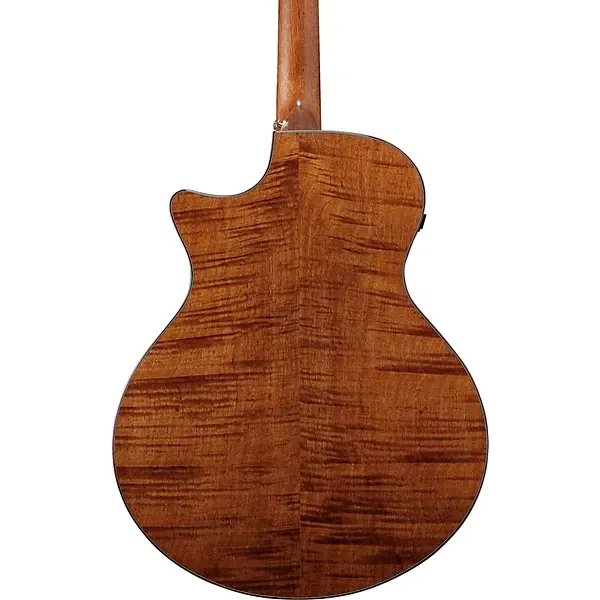 Ibanez AE295LTD Limited-Edition Acoustic-Electric Guitar — view 4